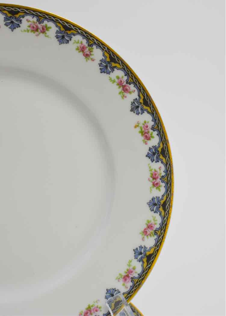 Theodore Haviland Limoges Dishware