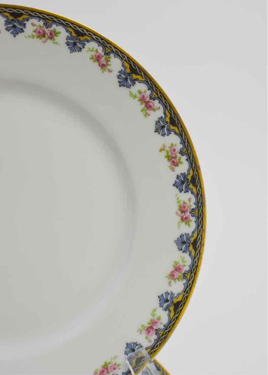Theodore Haviland Limoges Dishware