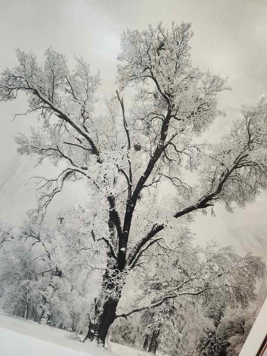 'Winter' by Ansel Adams Photography Poster