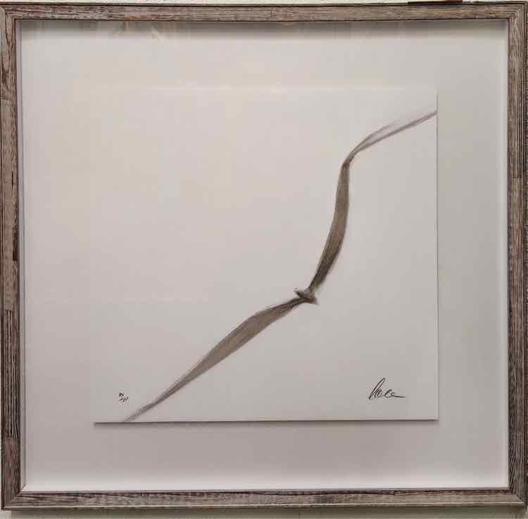 Art Sea Gull Signed Lithograph