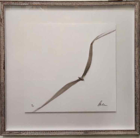 Art Sea Gull Signed Lithograph