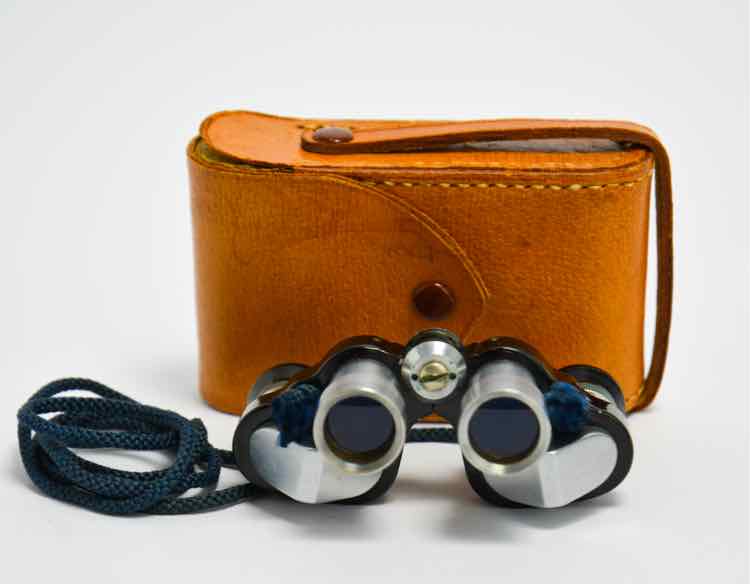 Stellar Binoculars