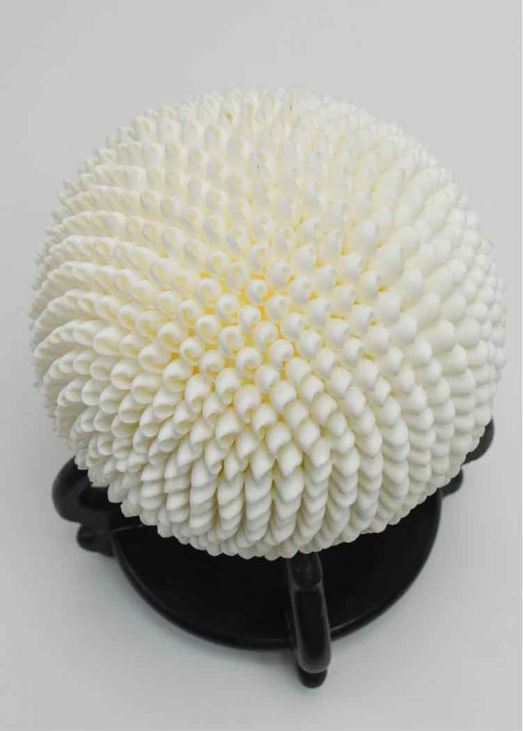 Decor C. 1990s Seashell Sphere