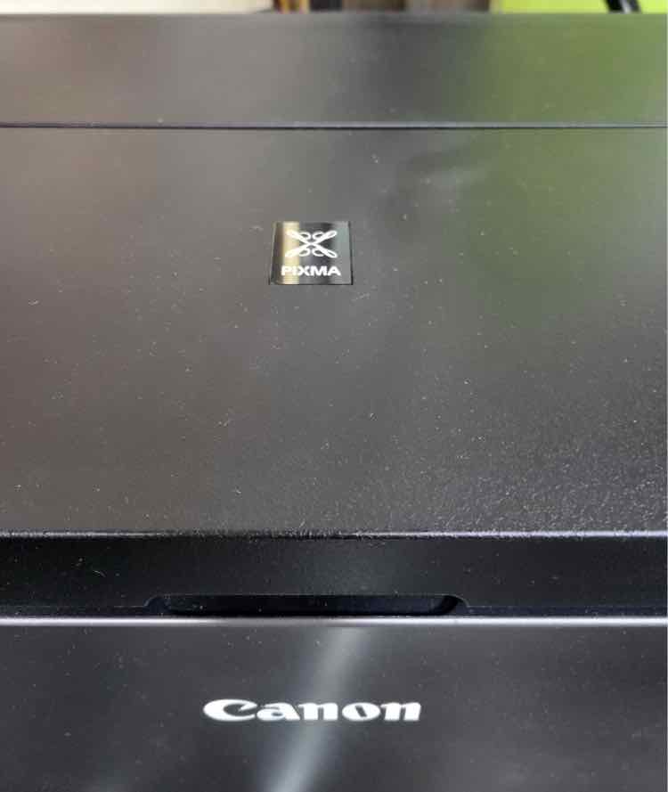 Canon Pixma Pro-10 Printer w/Ink