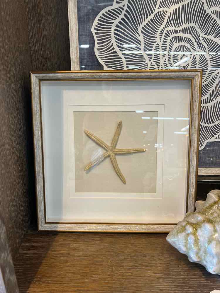 Art - Starfish Shadow Box