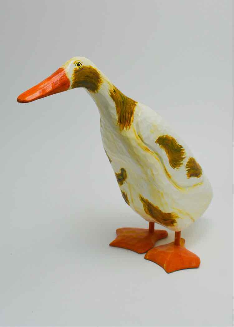 'Gander the Goose' by MC Smith