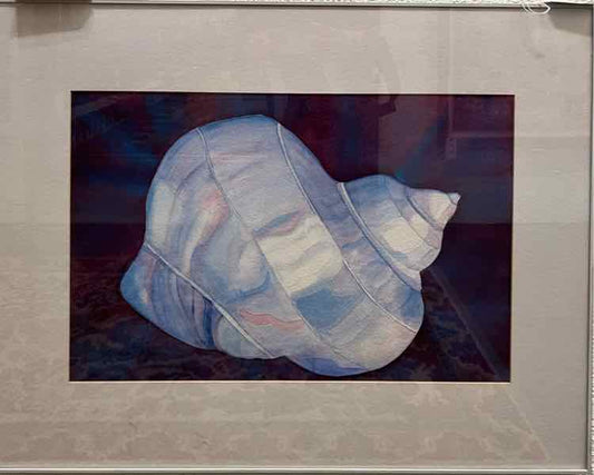 Shell Watercolor