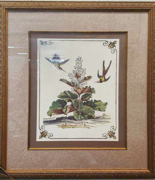 Botanical & Bird Etching 34”x40”