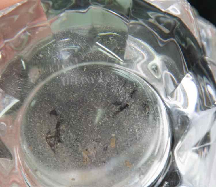 Tiffany Crystal Pine Cone Votive