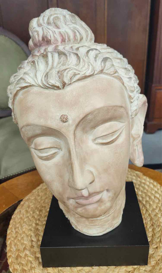 Lg. Head of Buddha Bust