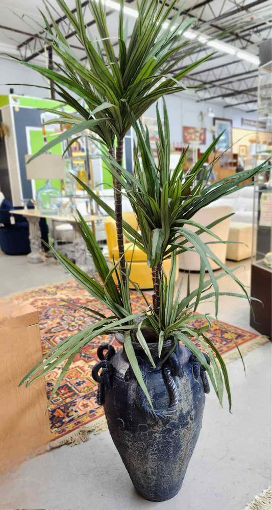 Plant in Black Vase