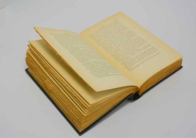Nana by Emile Zola First American edition 1924