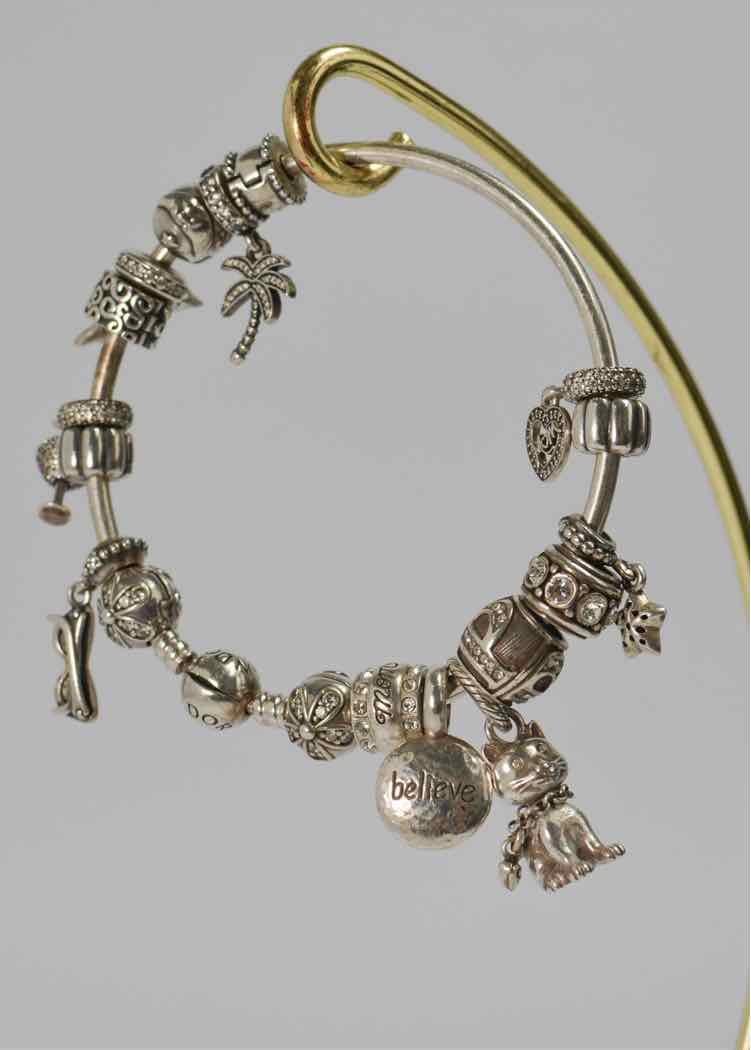 Pandora Charm Bracelet
