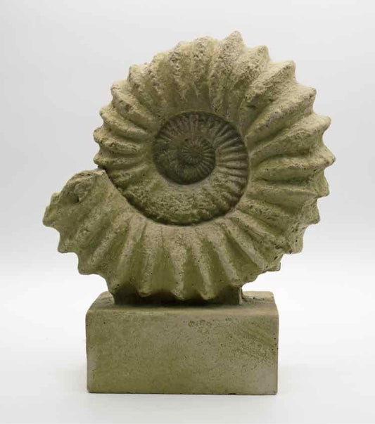 Sea Shell Sculpture