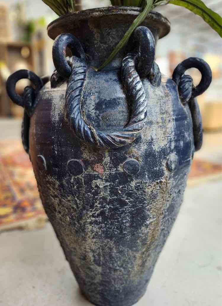 Plant in Black Vase