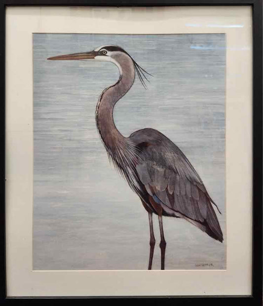 Blue Heron Watercolor & Pencil N. Wyatt Jr. 26”x21”