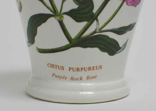 Botanic Garden Vase
