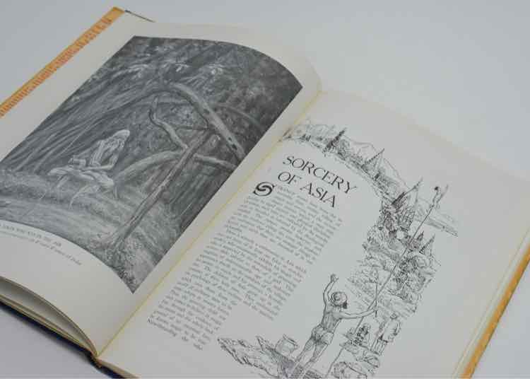 Book The Phoenix by Manly P. Hall