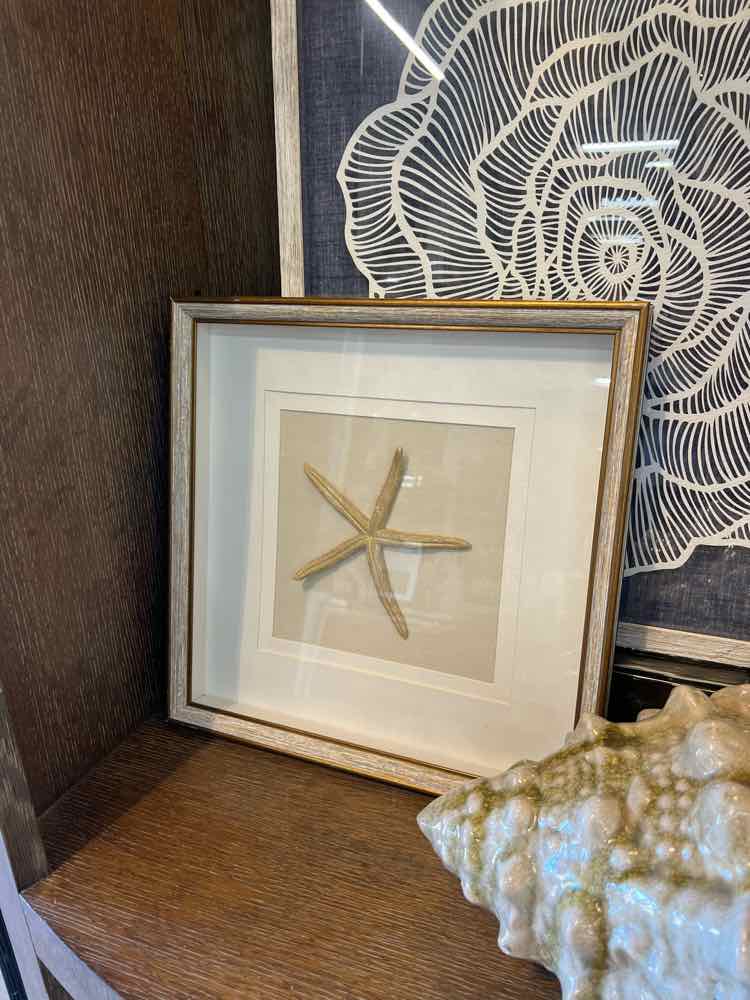 Art - Starfish Shadow Box