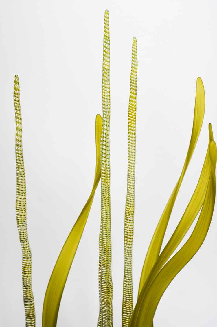 Warner Whitefield Glass Art